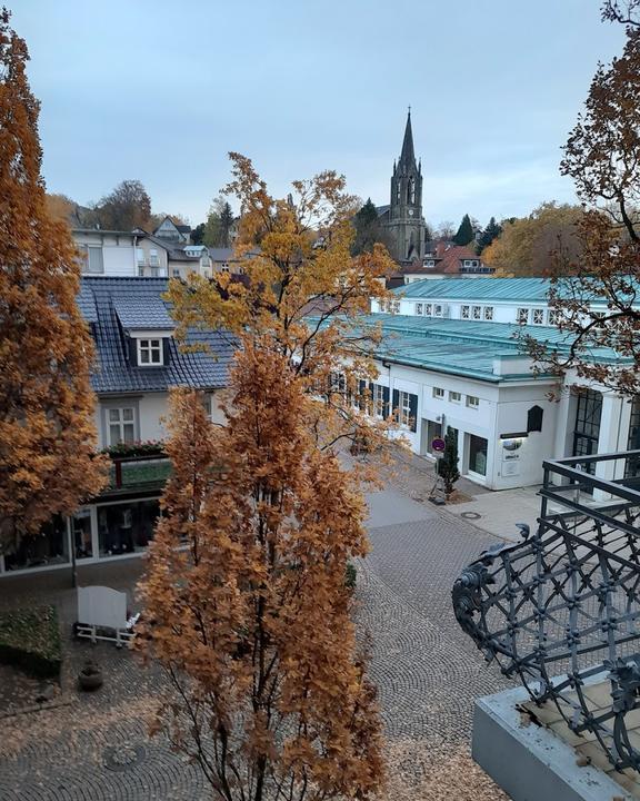 Hotel Furstenhof Restaurant